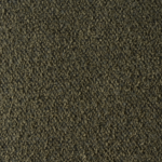 Moss